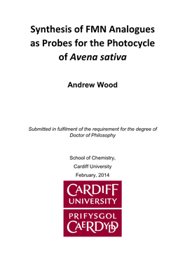 Synthesis of FMN Analogues As Probes for the Photocycle of Avena Sativa