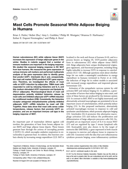 Mast Cells Promote Seasonal White Adipose Beiging in Humans