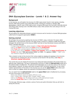 DNA Glycosylase Exercise - Levels 1 & 2: Answer Key
