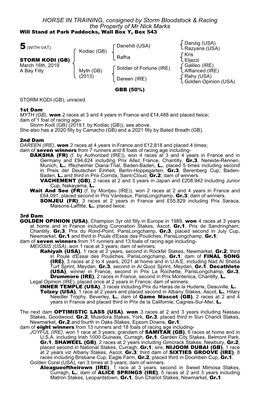 HORSE in TRAINING, Consigned by Storm Bloodstock & Racing The