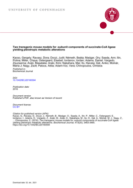 Two Transgenic Mouse Models for Β-Subunit Components of Succinate-Coa Ligase Yielding Pleiotropic Metabolic Alterations