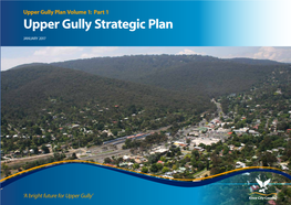 Upper Gully Strategic Plan