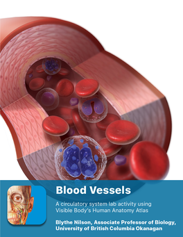 Heart Vein Artery