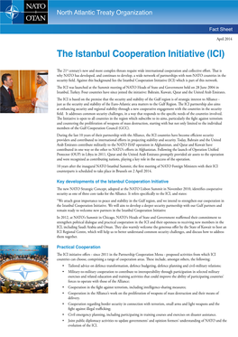 The Istanbul Cooperation Initiative (ICI)