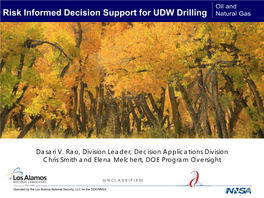 Ultra-Deepwater Advisory Committee (UDAC) Risk Assessment Technical Support