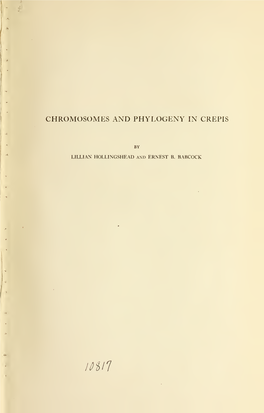 Chromosomes and Phylogeny in Crepis