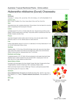 Huberantha Nitidissima (Dunal) Chaowasku Family: Annonaceae Chaowasku, T., Johnson, D.M., Van Der Ham , R.W.J.M