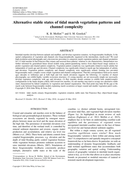 Alternative Stable States of Tidal Marsh Vegetation Patterns and Channel Complexity