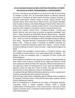 ATA DA SEGUNDA REUNIÃO DA MESA DIRETORA PROVISÓRIA DO COMITÊ DAS BACIAS DO PIRAPÓ, PARANAPANEMA 3 E PARANAPANEMA 4