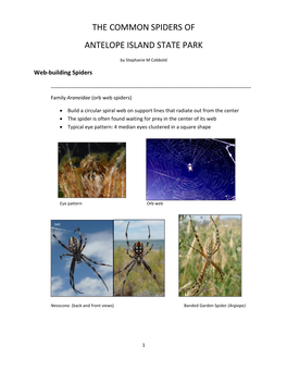 The Common Spiders of Antelope Island State Park