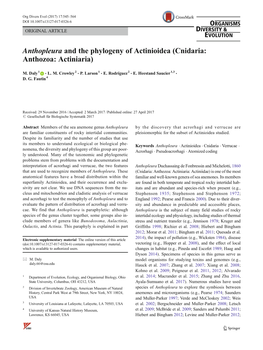 Anthopleura and the Phylogeny of Actinioidea (Cnidaria: Anthozoa: Actiniaria)