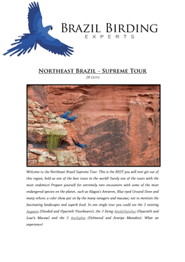 Northeast Brazil Supreme Tour 28 Days
