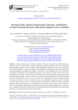 The Indo-Pacific Amalda (Neogastropoda, Olivoidea, Ancillariidae) Revisited with Molecular Data, with Special Emphasis on New Caledonia