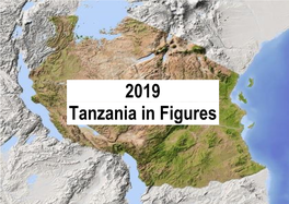 2019 Tanzania in Figures