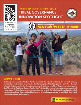 Tribal Governance Innovation Spotlight
