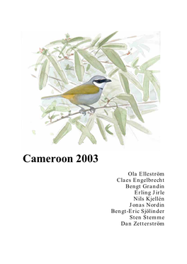 Cameroon 2003