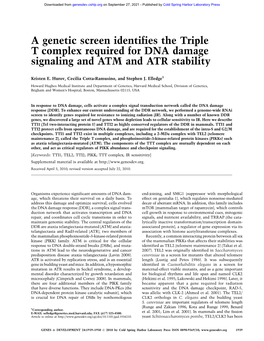 A Genetic Screen Identifies the Triple T Complex Required for DNA Damage Signaling and ATM and ATR Stability