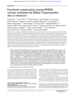 Functional Compensation Among HMGN Variants Modulates the Dnase I Hypersensitive Sites at Enhancers