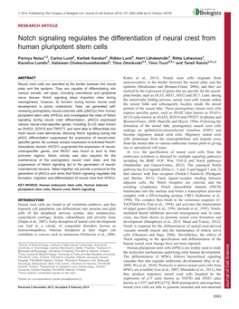 Notch Signaling Regulates the Differentiation of Neural Crest From