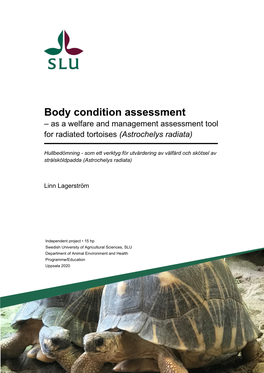 Body Condition Assessment – As a Welfare and Management Assessment Tool for Radiated Tortoises (Astrochelys Radiata)