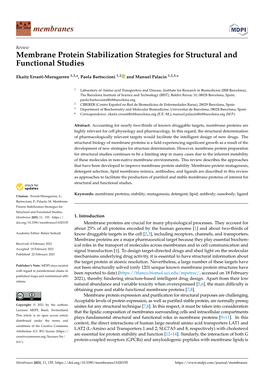 Membrane Protein Stabilization Strategies for Structural and Functional Studies