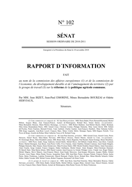 Rapport D´Information