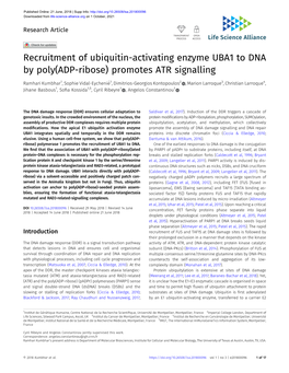 Recruitment of Ubiquitin-Activating Enzyme UBA1 to DNA by Poly(ADP-Ribose) Promotes ATR Signalling