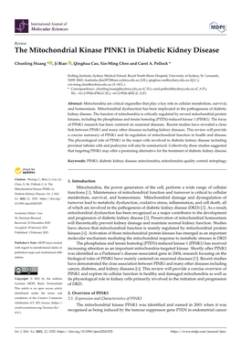 The Mitochondrial Kinase PINK1 in Diabetic Kidney Disease