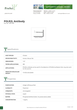 POLR2L Antibody Cat