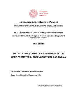 Methylation Status of Vitamin D Receptor Gene Promoter in Adrenocortical Carcinoma