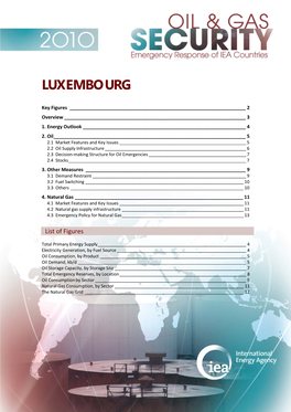 Luxembourg 2010 Update