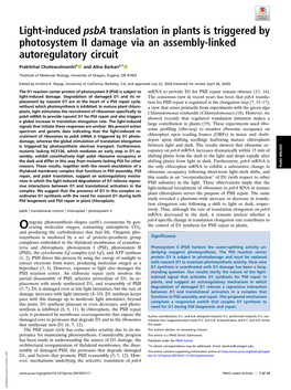 Light-Induced Psba Translation in Plants Is Triggered by Photosystem II Damage Via an Assembly-Linked Autoregulatory Circuit