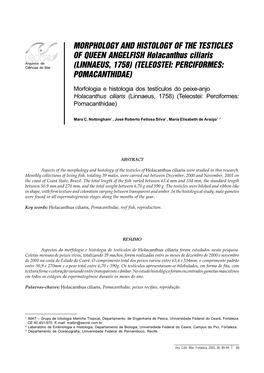 Morphology and Histology of the Testicles