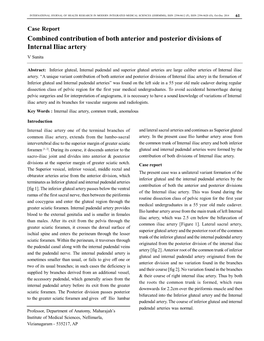 Combined Contribution of Both Anterior and Posterior Divisions of Internal Iliac Artery V Sunita