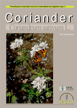 Coriander, Coriandrum Sativum L