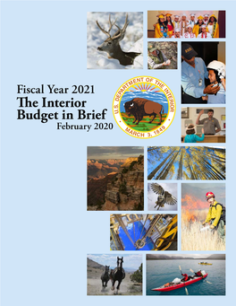 Fiscal Year 2021 the Interior Budget in Brief February 2020