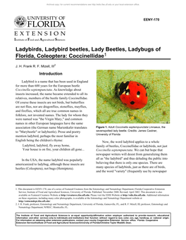 Ladybirds, Ladybird Beetles, Lady Beetles, Ladybugs of Florida, Coleoptera: Coccinellidae1