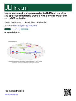 Lupus-Associated Endogenous Retroviral LTR Polymorphism and Epigenetic Imprinting Promote HRES-1/Rab4 Expression and Mtor Activation
