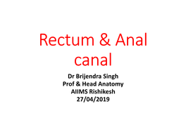 Rectum & Anal Canal