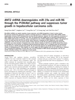 ANT2 Shrna Downregulates Mir-19A and Mir-96 Through the PI3K/Akt Pathway and Suppresses Tumor Growth in Hepatocellular Carcinoma Cells