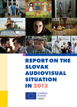 Report on the Slovak Audiovisual Situation in 2013