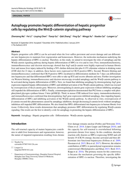 Autophagy Promotes Hepatic Differentiation of Hepatic Progenitor Cells by Regulating the Wnt/Β-Catenin Signaling Pathway