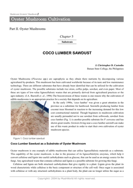 Coco Lumber Sawdust