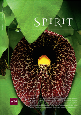 2009-Summer-Spirit.Pdf