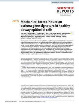 Mechanical Forces Induce an Asthma Gene Signature in Healthy Airway Epithelial Cells Ayşe Kılıç1,10, Asher Ameli1,2,10, Jin-Ah Park3,10, Alvin T