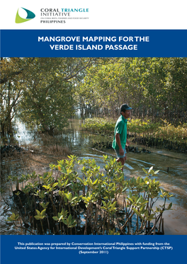 Mangrove Mapping for the Verde Island Passage