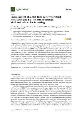 Improvement of a RD6 Rice Variety for Blast Resistance and Salt Tolerance Through Marker-Assisted Backcrossing