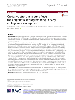 Oxidative Stress in Sperm Affects the Epigenetic Reprogramming in Early