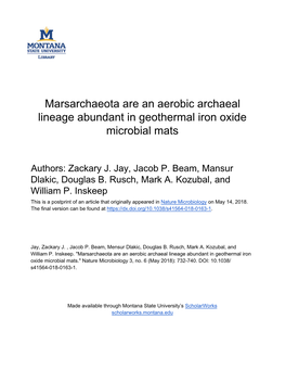 Marsarchaeota Are an Aerobic Archaeal Lineage Abundant in Geothermal Iron Oxide Microbial Mats
