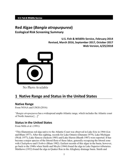 Red Algae (Bangia Atropurpurea) Ecological Risk Screening Summary